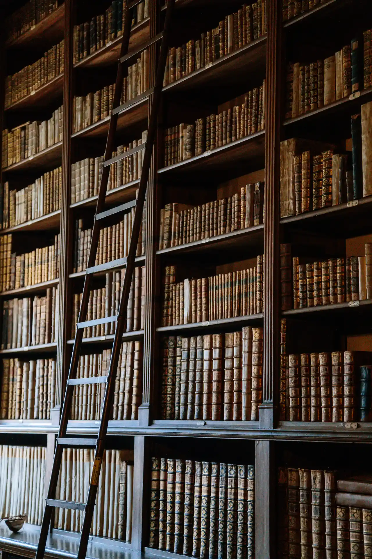 Ein altes Eichenholz Bücherregal mit einer Leiter